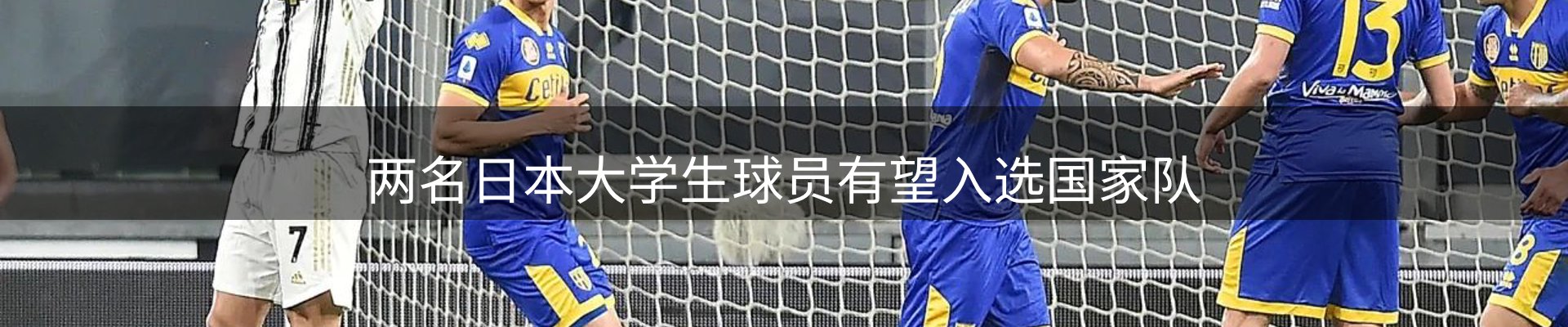 新闻资讯