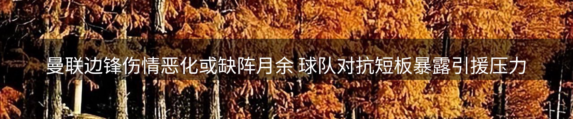 新闻资讯