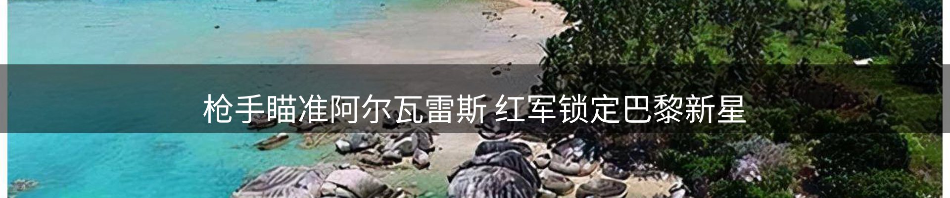 新闻资讯